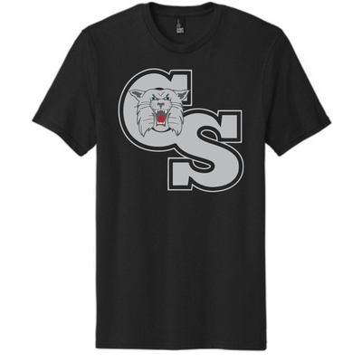CS