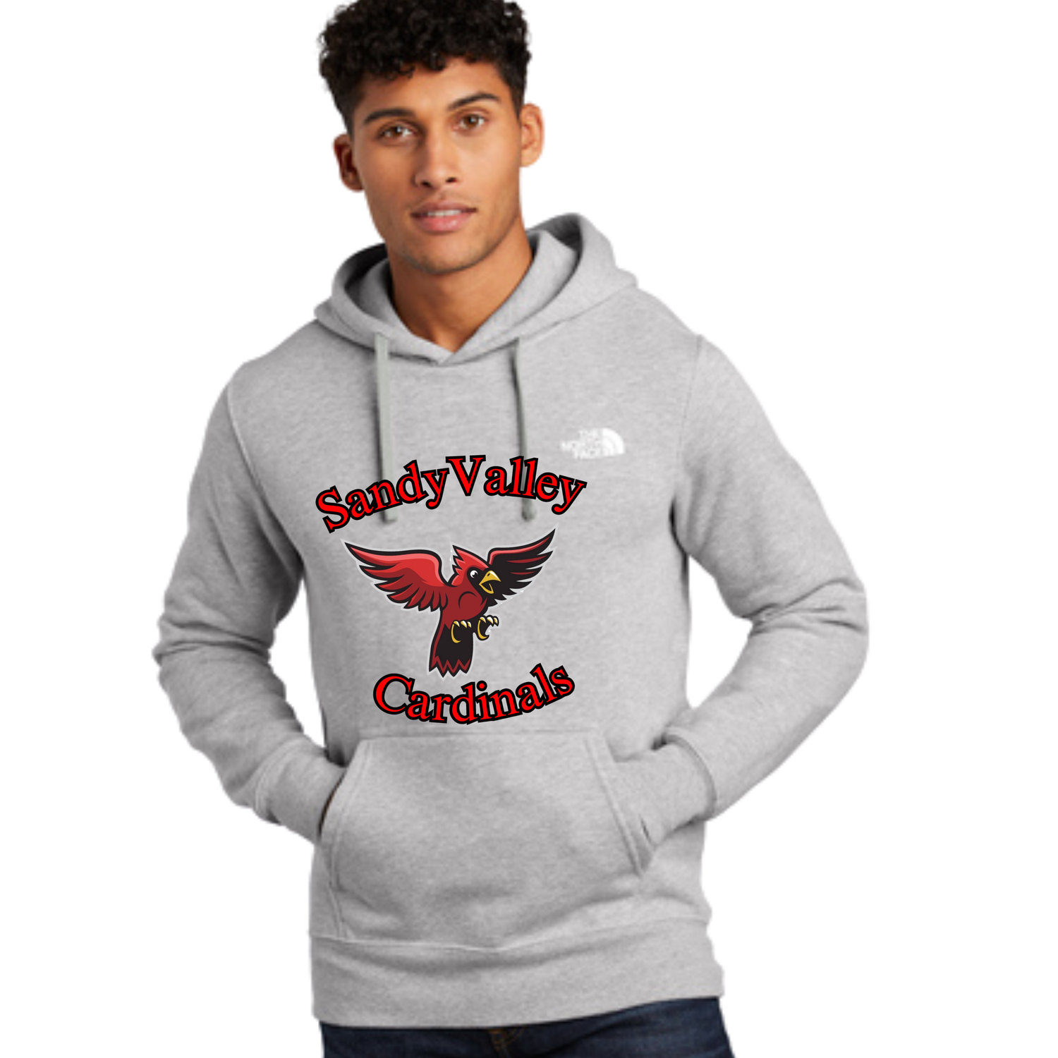 Light Grey Sandy Valley North Face Hoodie