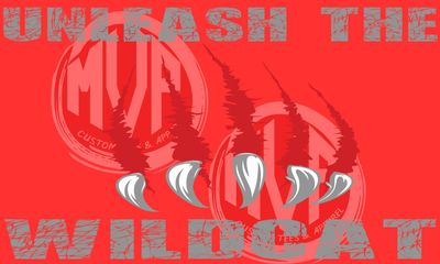Canton South Flag