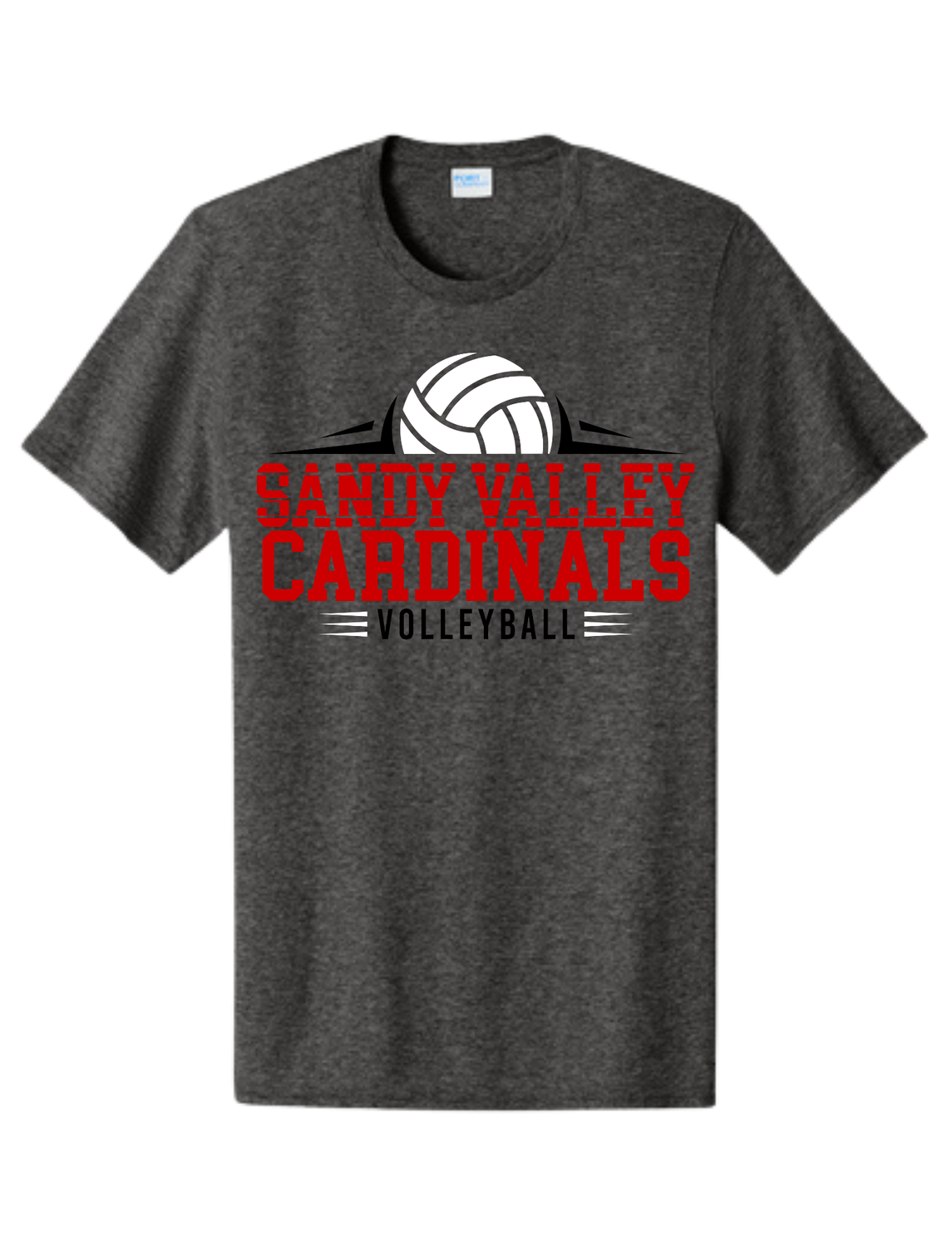Sandy Valley Cardinals Volleyball
