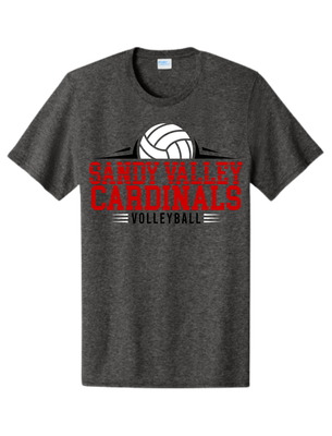 Sandy Valley Cardinals Volleyball