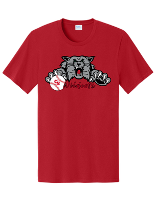 CS Wildcats baseball