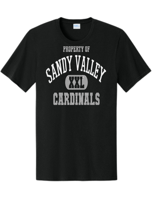 Property of SV Cardinals Grey