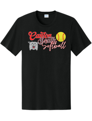 Wildcats Softball Cursive