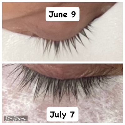 Lash And Brow Serum