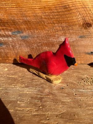 Cardinal