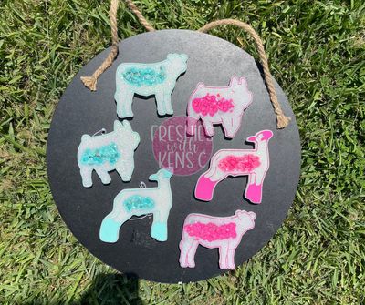 Show Animal Collection