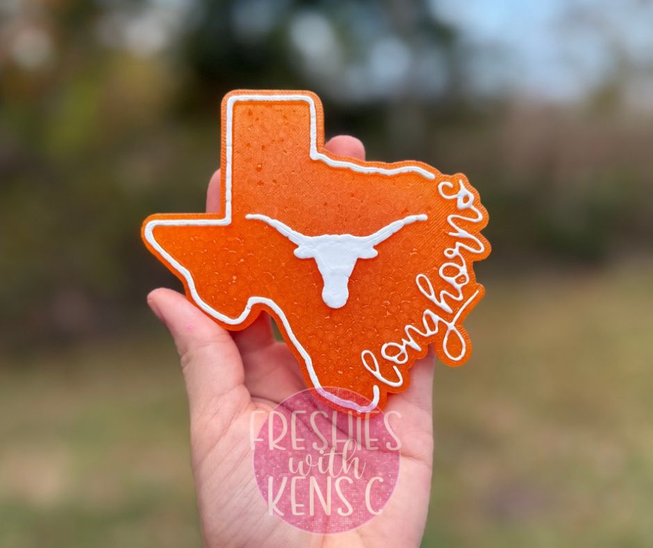 Longhorn Texas