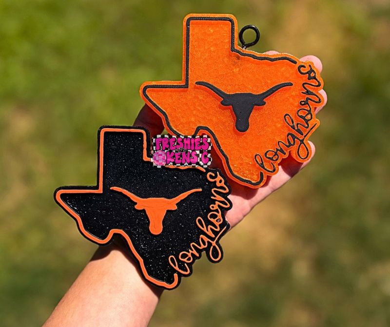 Longhorn Texas