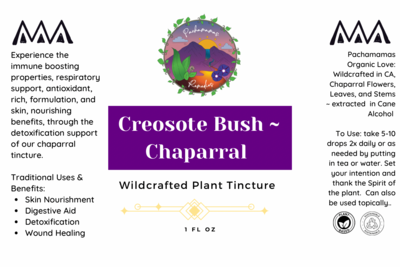 Creosote Bush- Chaparral