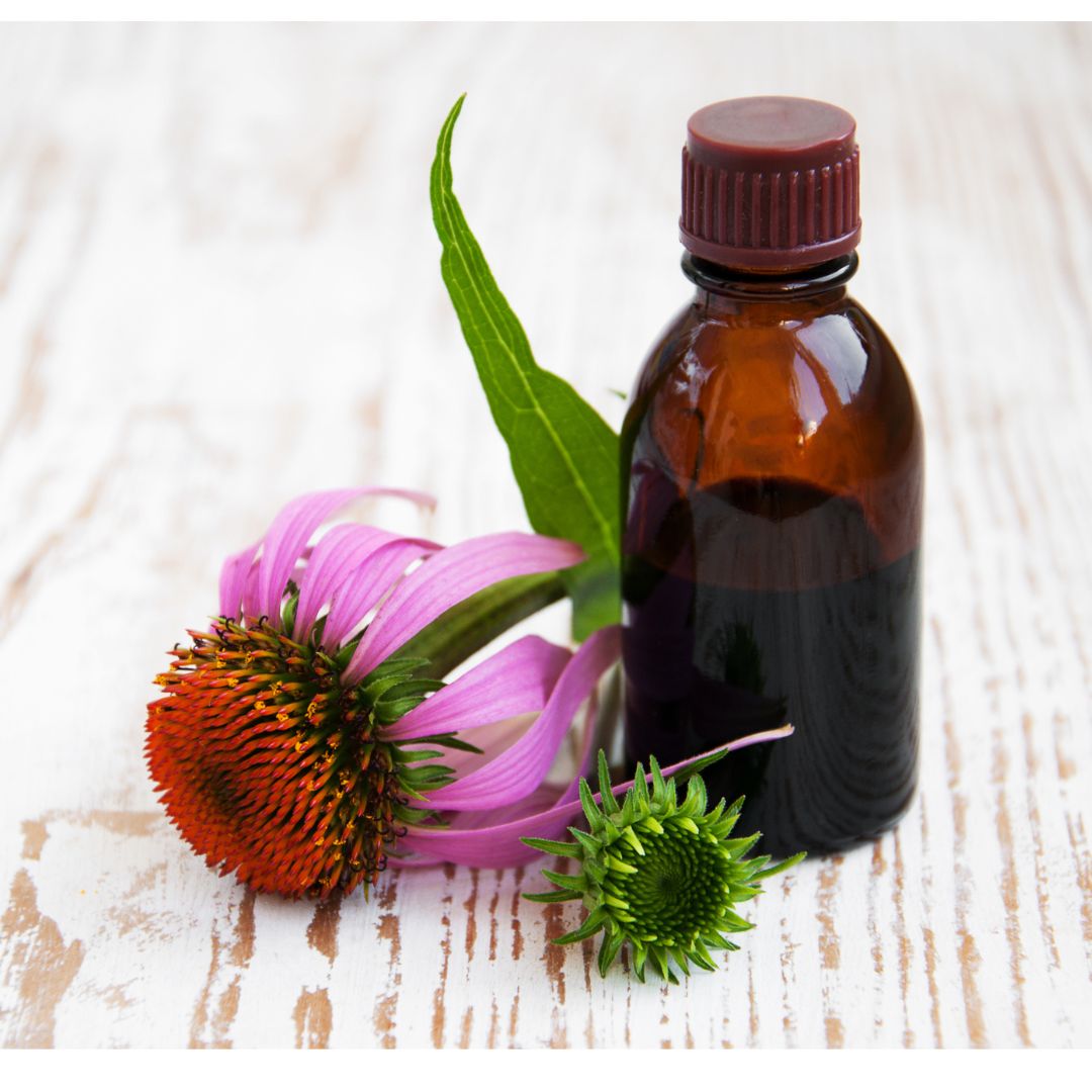 Winter Wellness Virtual --Tincture Workshop