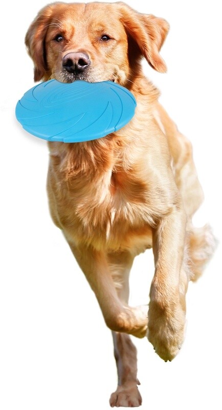 Morrison Frisbee Meerdere kleuren