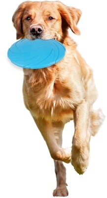 Morrison Frisbee Meerdere kleuren