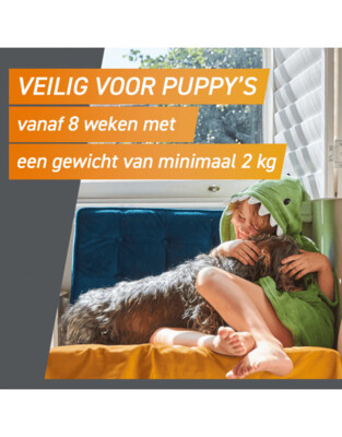 Frontpro Hond - Anti vlooien en tekenmiddel - >2-4 Kg Small