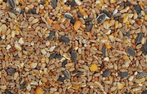 Strooivoer grof 2 kg