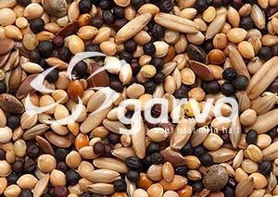 Garvo 5343 Volierezaad 20kg