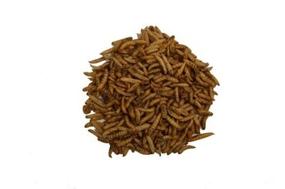 Nutri worms 1kg
