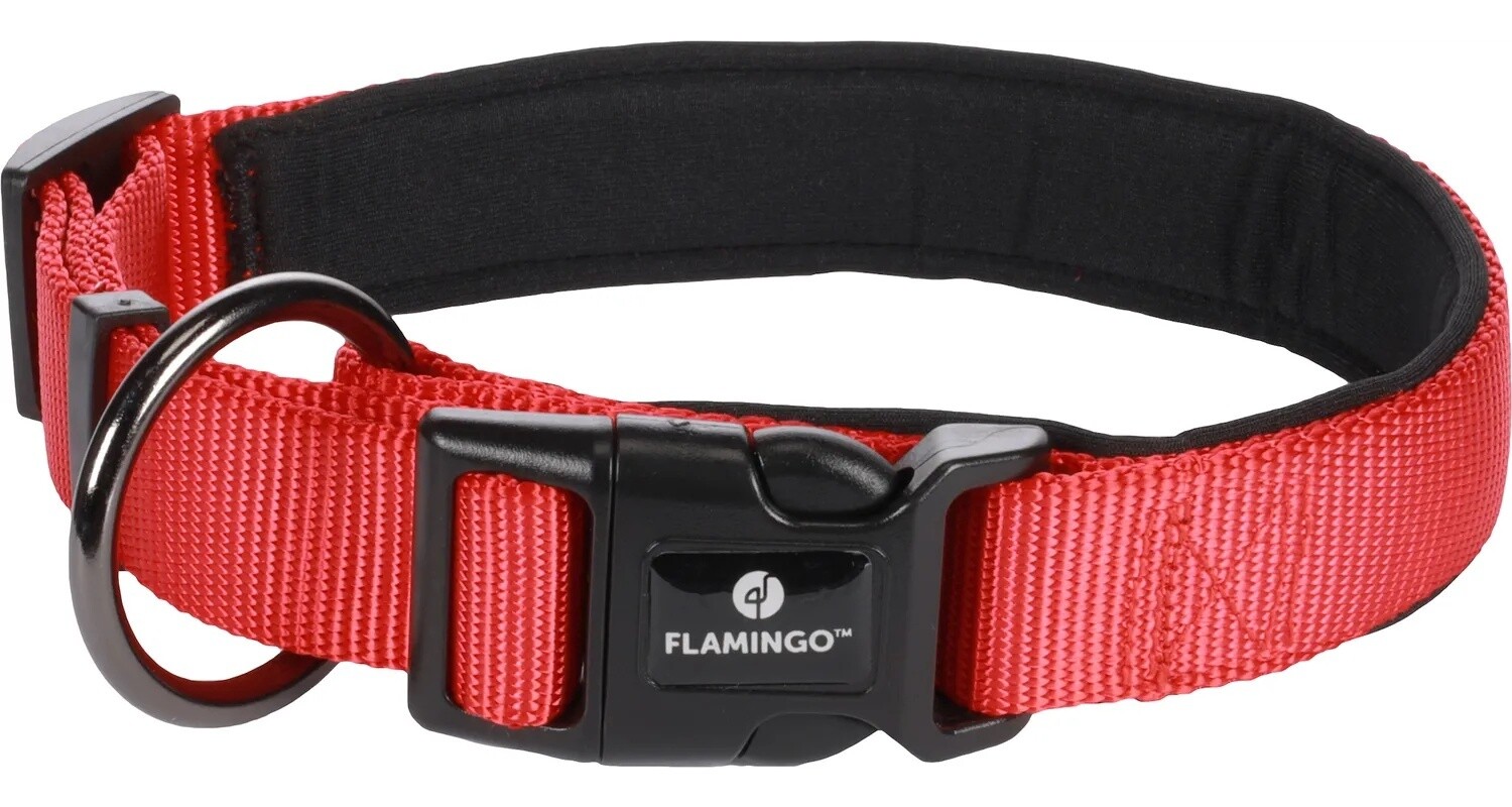 Halsband Abbi Rood S | 40-45cm x 20mm x 2mm