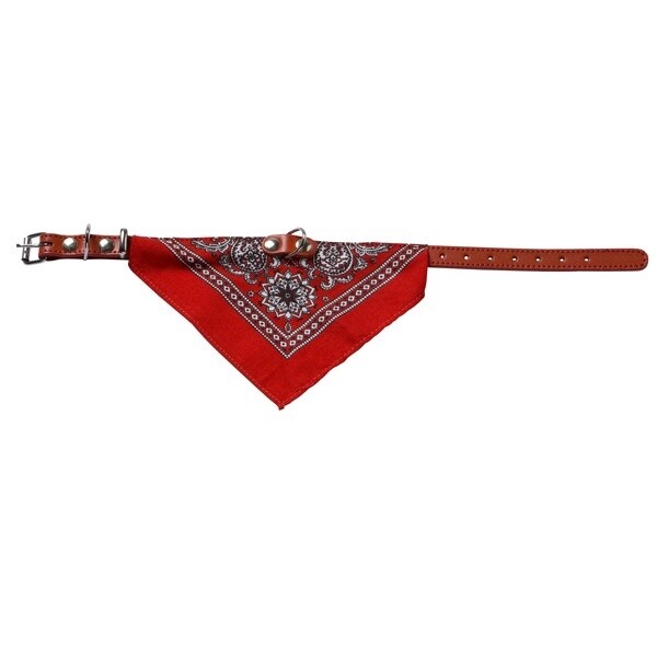 Halsband met zakdoek