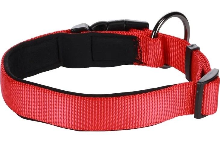 Halsband Abbi Rood S | 40-45cm x 20mm x 2mm