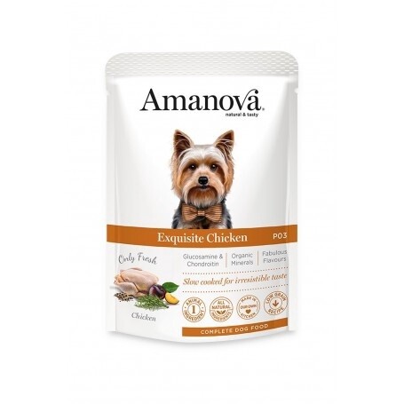 Amanova kip