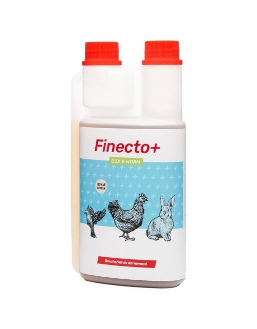 Finecto + Cox &amp; Worm