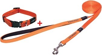 Lapz Luna lijn met gratis halsband Orange M