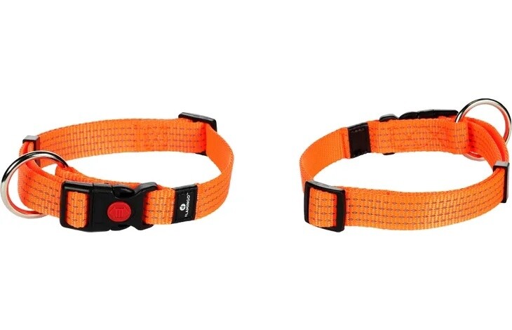 Looplijn / Harnas / Halsband Len Oranje
