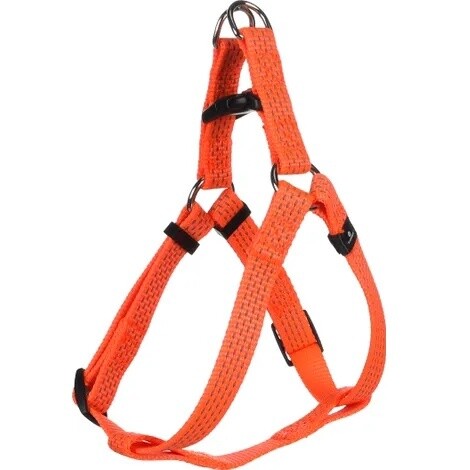 Looplijn / Harnas / Halsband Len Oranje