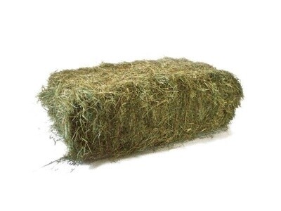 Pak hooi (groot)