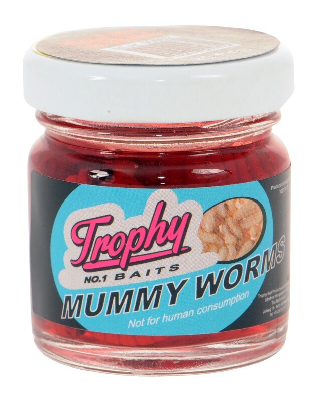 Wasmotten / Mummy worms
