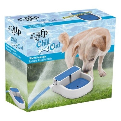 Automatische Waterbak Hond