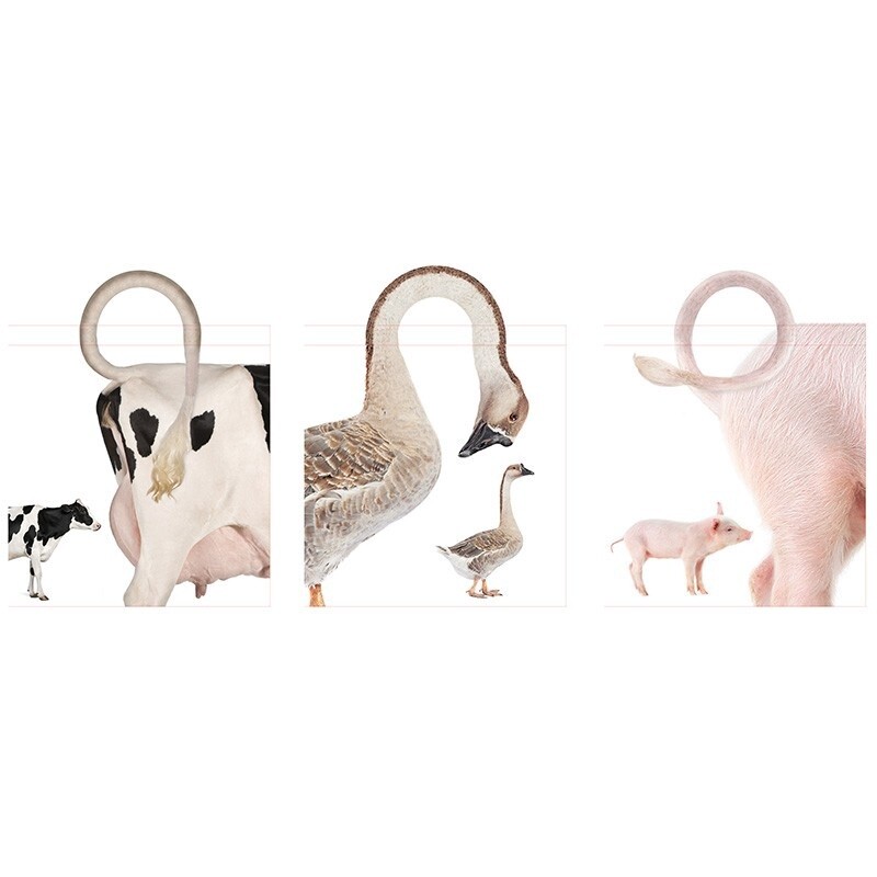 Nature Print - Boodschappentas varken/gans/koe