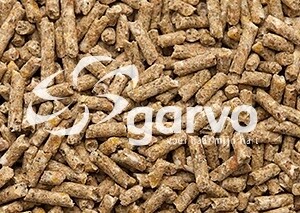 Garvo Kuiken opfokkorrel (5012) 20 kg