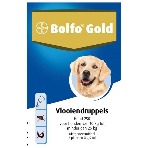 Bolfo - Gold hond 250 - 2 pipets
