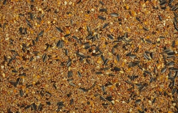 Strooivoer grof  2,5kg