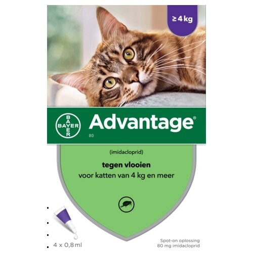 Advantage - Kat 80