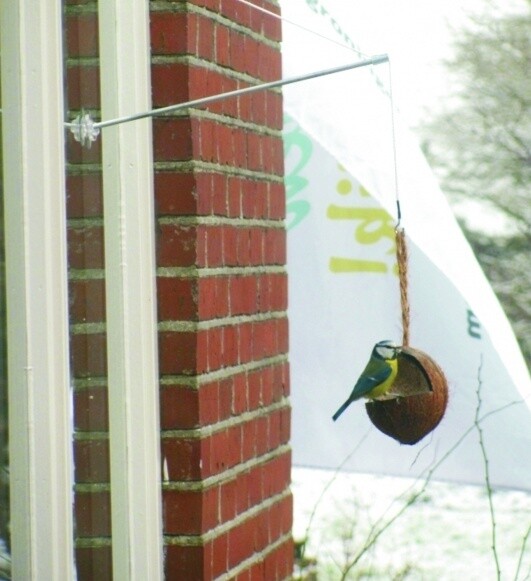 Raamvoedersysteem birdswing