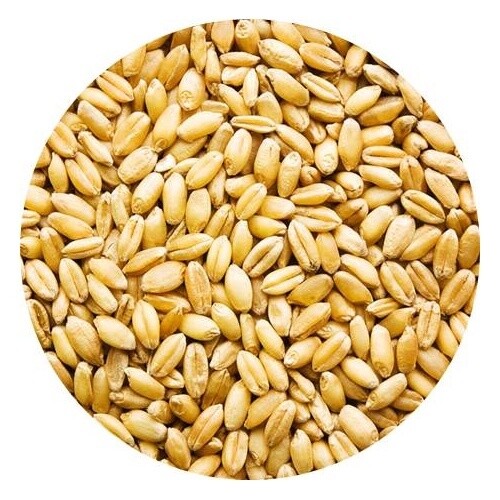 Fuite Tarwe 25kilo