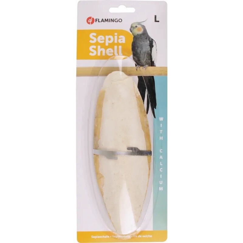 Vogel Sepia Schelp - Wit - 23 cm