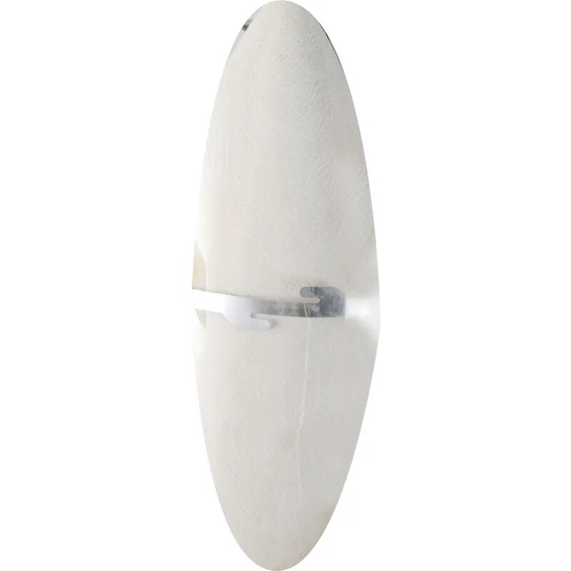 Vogel Sepia Schelp - Wit - 23 cm