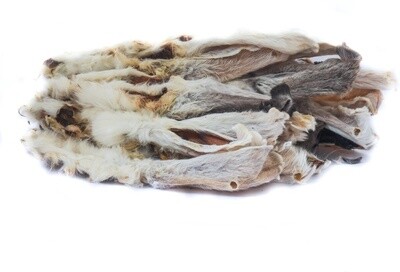 Konijnenoren met haar