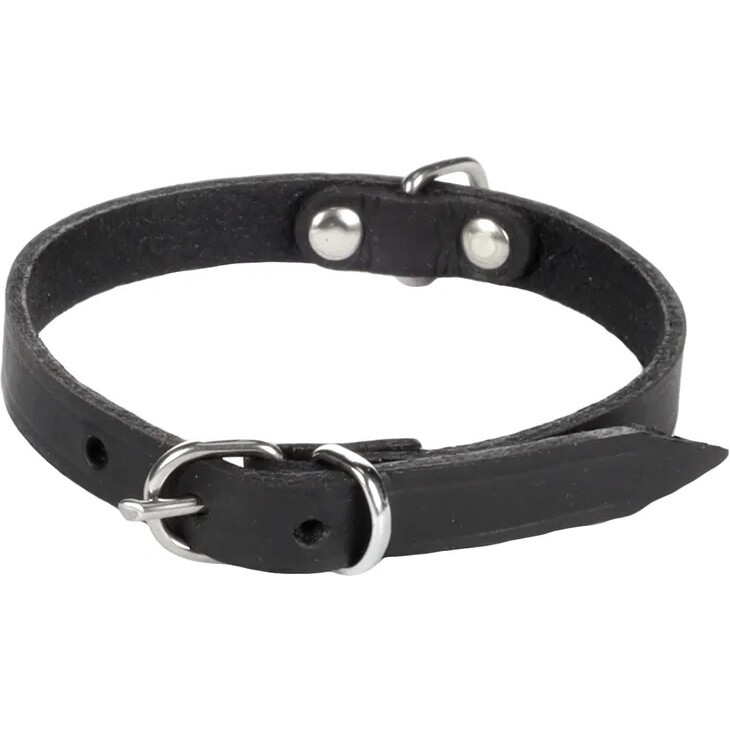Halsband Seattle Zwart