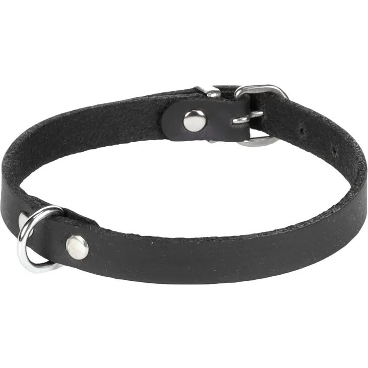 Halsband Seattle Zwart