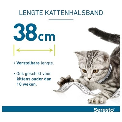 Seresto Teken- en vlooienband kat per stuk 38 cm