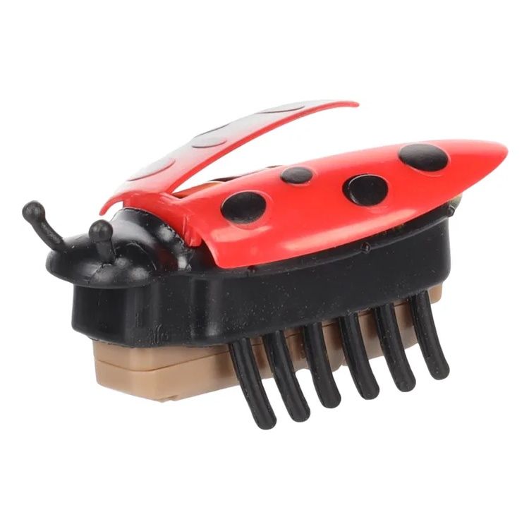 Lieveheersbeestje Rood