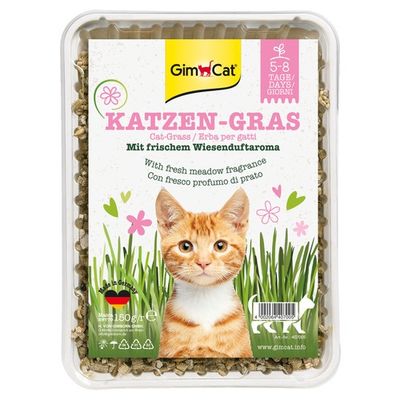 Kattengras 150 g