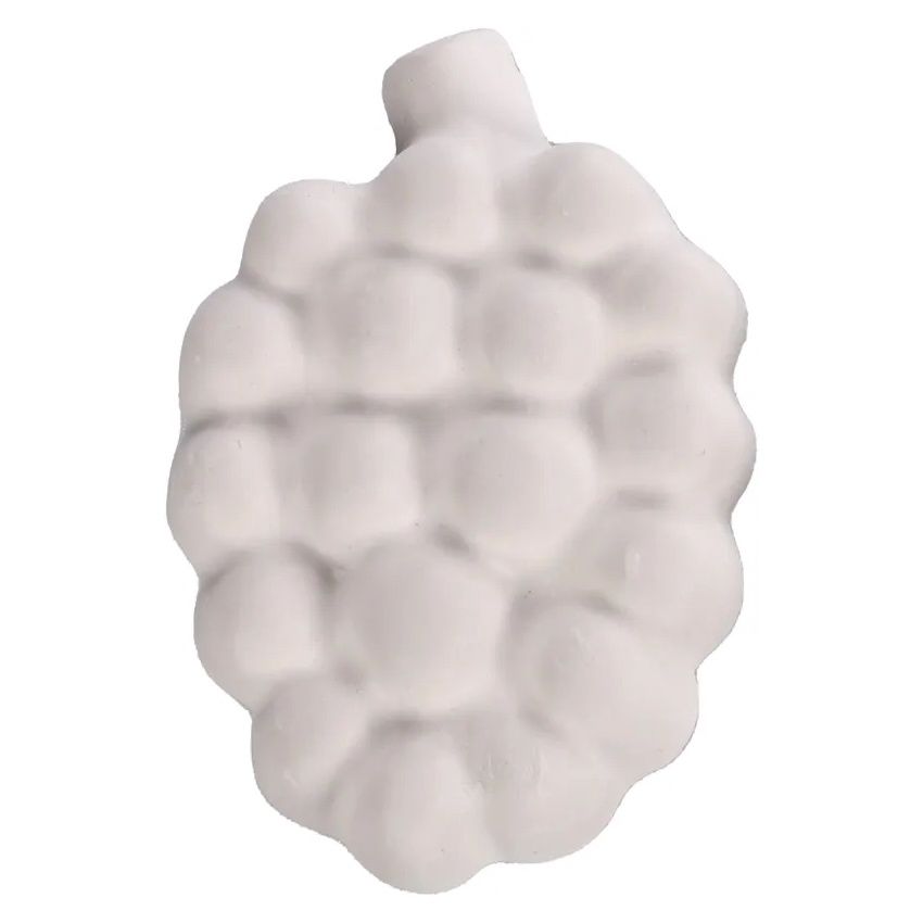 Tutti frutti Knaagsteen 60gr