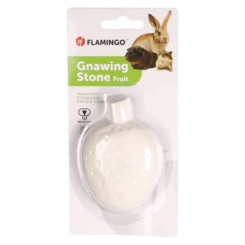 Tutti frutti Knaagsteen 65gr