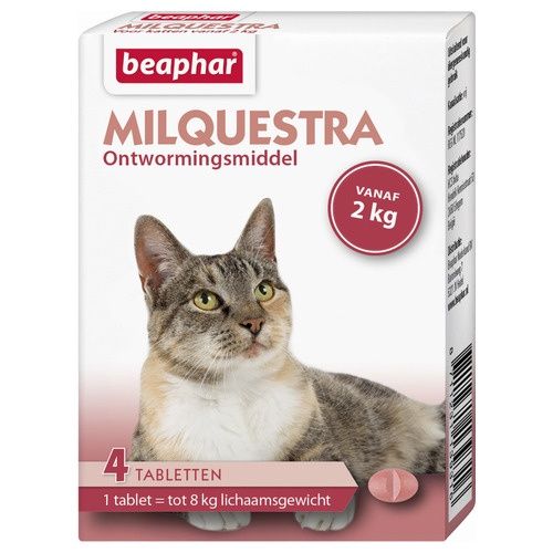 Milquestra kat 4 tab Rund